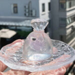 Transparent goldfish bag pinch, Cute and Realistic - Image 3