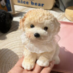 Teddy tabasquichy and fatty cute cat - Image 2