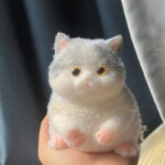 Teddy tabasquichy and fatty cute cat - Image 6