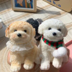 Teddy tabasquichy and fatty cute cat - Image 11