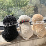 Teddy tabasquichy and fatty cute cat - Image 10