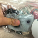 Crystal-clear milkshakes, puddings and Jellies soda squishy - Image 6