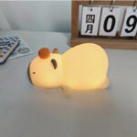 Kawai Food-Grade Silicone Squeeing Colorful Rainbow Night Lamp series - Rechargeable Model- Perfect Birthday and Holiday Gift For Kids - Image 5