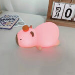 Kawai Food-Grade Silicone Squeeing Colorful Rainbow Night Lamp series - Rechargeable Model- Perfect Birthday and Holiday Gift For Kids - Image 6