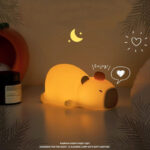 Kawai Food-Grade Silicone Squeeing Colorful Rainbow Night Lamp series - Rechargeable Model- Perfect Birthday and Holiday Gift For Kids - Image 7