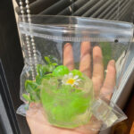 Crystal-clear milkshakes, puddings and Jellies soda squishy - Image 46