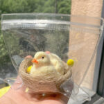 Furry Yellow Nested Duck and Chick Squishy Squeezable Stress Relief Sensory Fidget Toy - Image 3