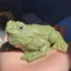 The big toad