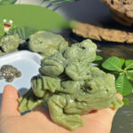 Realistic Toad Stress Relief Green & Yellow Squishes Frog Toys - Image 5