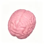Giant Brain Squishy Toy