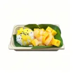 Sushi Bento Squishy Play Set – Fake Food Sensory Toys