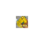 Honey Cheese Finger Squishy – Poke & Squeeze Stress Toy